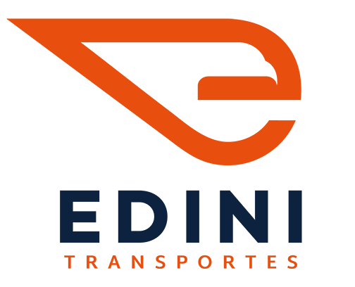 Marca_EDINI_transparenteV (1)